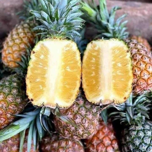 Các tiểu thương cho biết, dứa mật khổng lồ đang bán nhiều ở Hà Nội chủ yếu được nhập về từ Điện Biên, hoặc Nghệ An, Thanh Hóa.