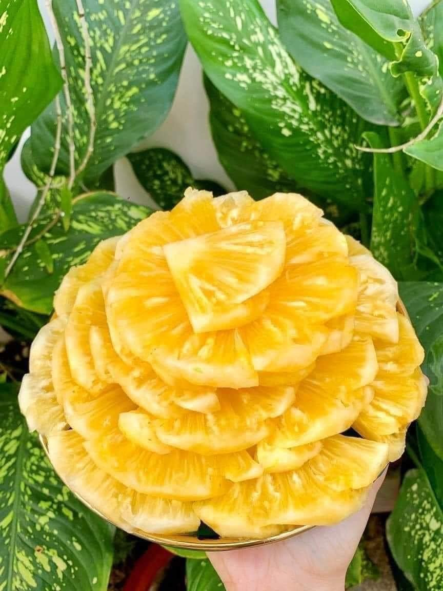 Theo chị Trang, loại dứa khổng lồ này vỏ mỏng, thịt vàng óng, nhiều nước và ăn không bị rát lưỡi như dứa thông thường.