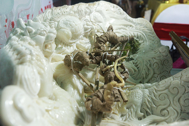 Năm ngoái, tại hội chợ ẩm thực đang diễn ra tại phố đi bộ Trịnh Công Sơn (quận Tây Hồ, Hà Nội) xuất hiện một củ sâm Ngọc Linh rừng, gần 100 tuổi có giá khoảng 500 triệu đồng. Ảnh: Dân Việt