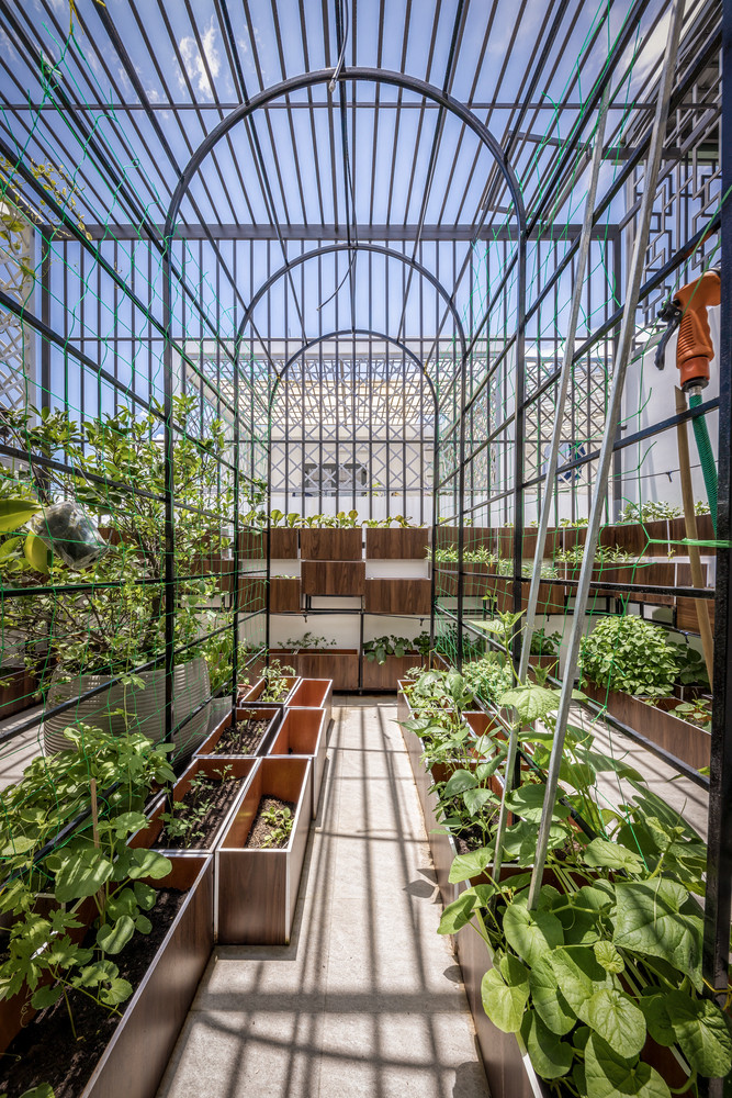 Trên tầng thượng là không gian dành cho vườn rau sạch.