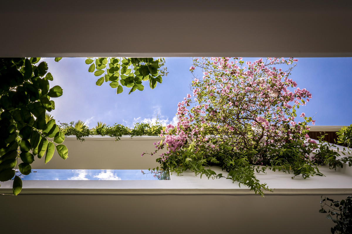 Ánh sáng mặt trời và gió có thể lọt vào trong nhờ mái kính và cửa gió bằng nhôm trên đỉnh.