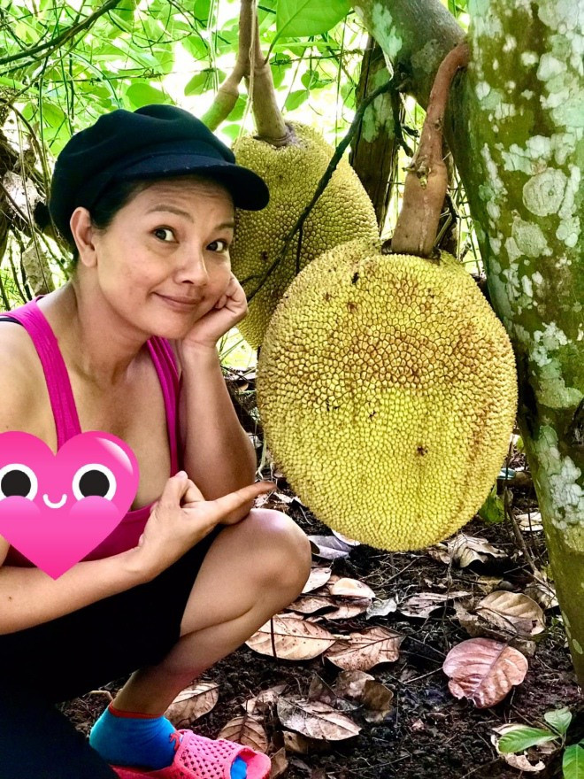 Nữ diễn viên hào hứng chia sẻ cây mít sai trĩu quả. Ảnh: FBNV
