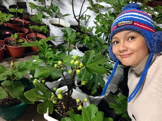 Nữ diễn viên sử dụng phân bón hữu cơ để chăm sóc cây, đảm bảo nguồn thực phẩm an toàn cho sức khoẻ. Ảnh: FBNV