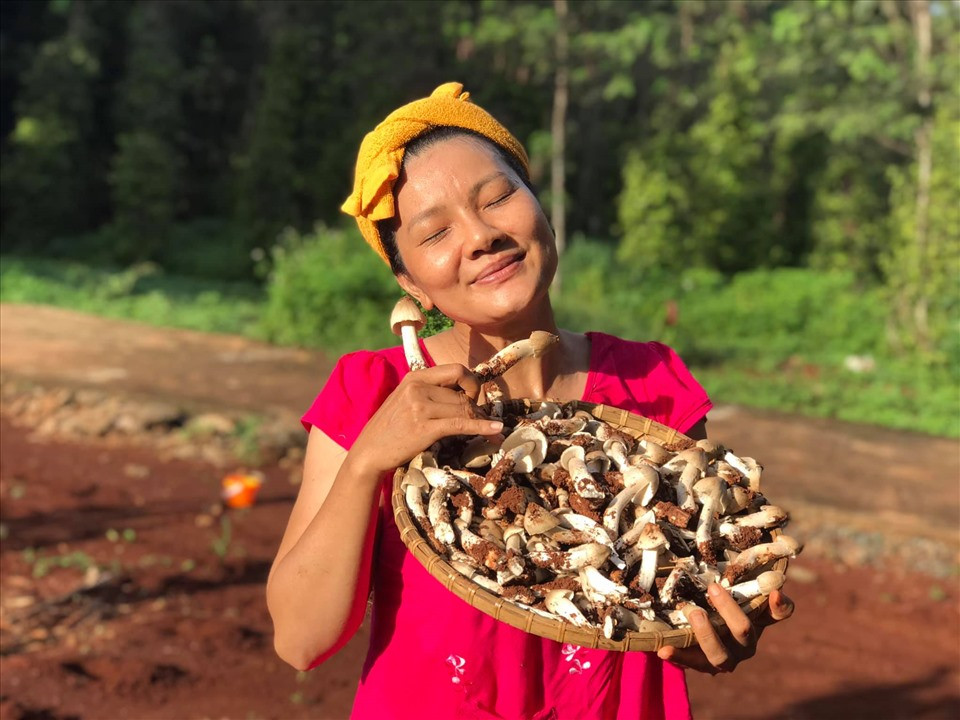 Kiều Trinh còn trồng nhiều nấm. Đây là món ăn cả gia đình cô rất thích. Ảnh: FBNV