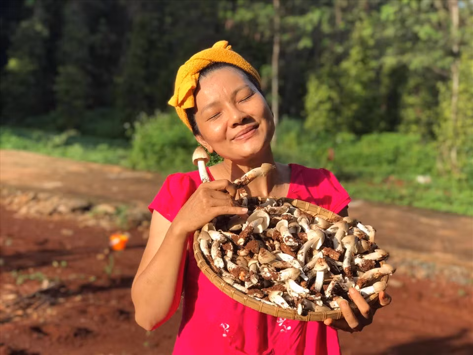 Kiều Trinh còn trồng nhiều nấm. Đây là món ăn cả gia đình cô rất thích. Ảnh: FBNV