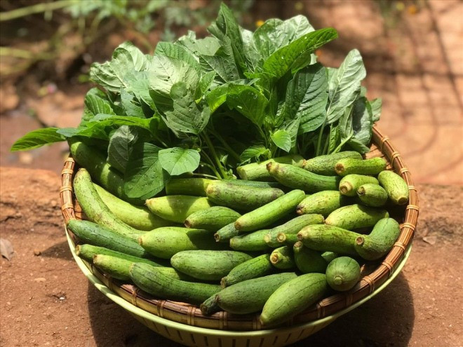Các loại rau được nữ diễn thu hái. Ảnh: FBNV