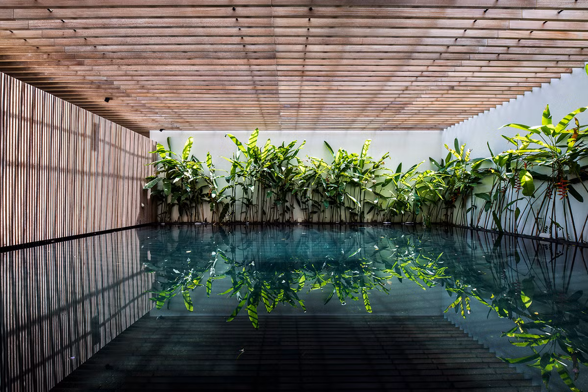 Thiên nhiên len lỏi vào từng ngóc ngách trong nhà.