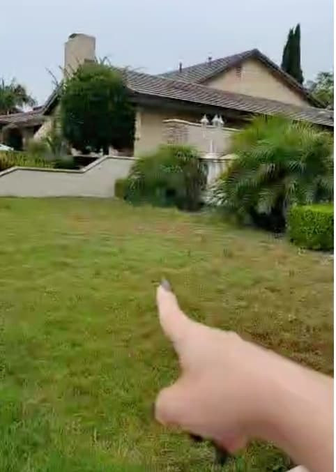 Xung quanh nhà của Việt Hương ở Mỹ phủ đầy cây cối xanh mát, hoa cỏ đua nhau khoe sắc.