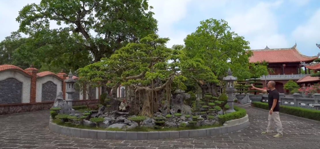 Khuôn viên căn biệt phủ có rất nhiều cây xanh. Lối vào được lát đá sang trọng.