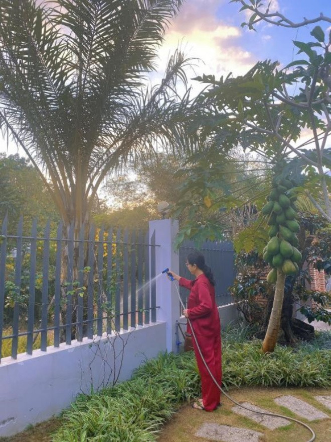 Để có được khu vườn như vậy, mẹ diễn viên Lê Phương thường xuyên tưới cây và chăm sóc. Ảnh: Lao động