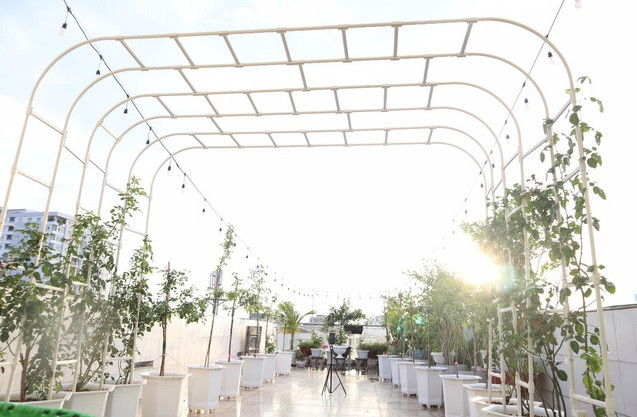 Phan Hiển còn tạo mái vòm để trồng hồng leo và giăng đèn. Theo tiết lộ, Phan Hiển tốn hơn trăm triệu để trồng vườn hồng trên sân thượng. Ảnh: FBNV