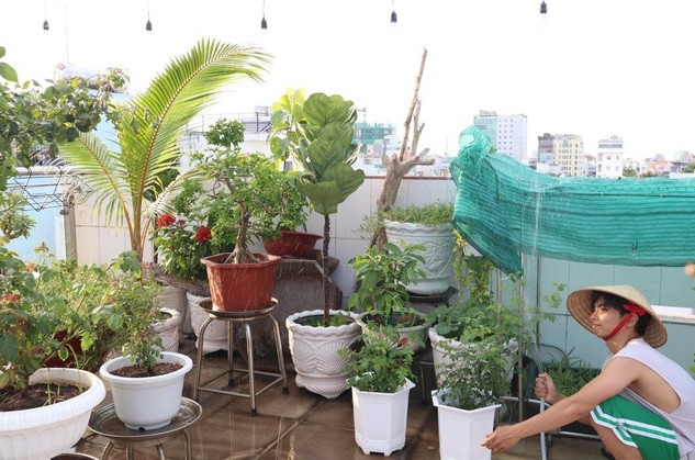 Để biến sân thượng thành vườn hồng, Phan Hiển dành rất nhiều thời gian tìm hiểu thông tin. Ảnh: FBNV