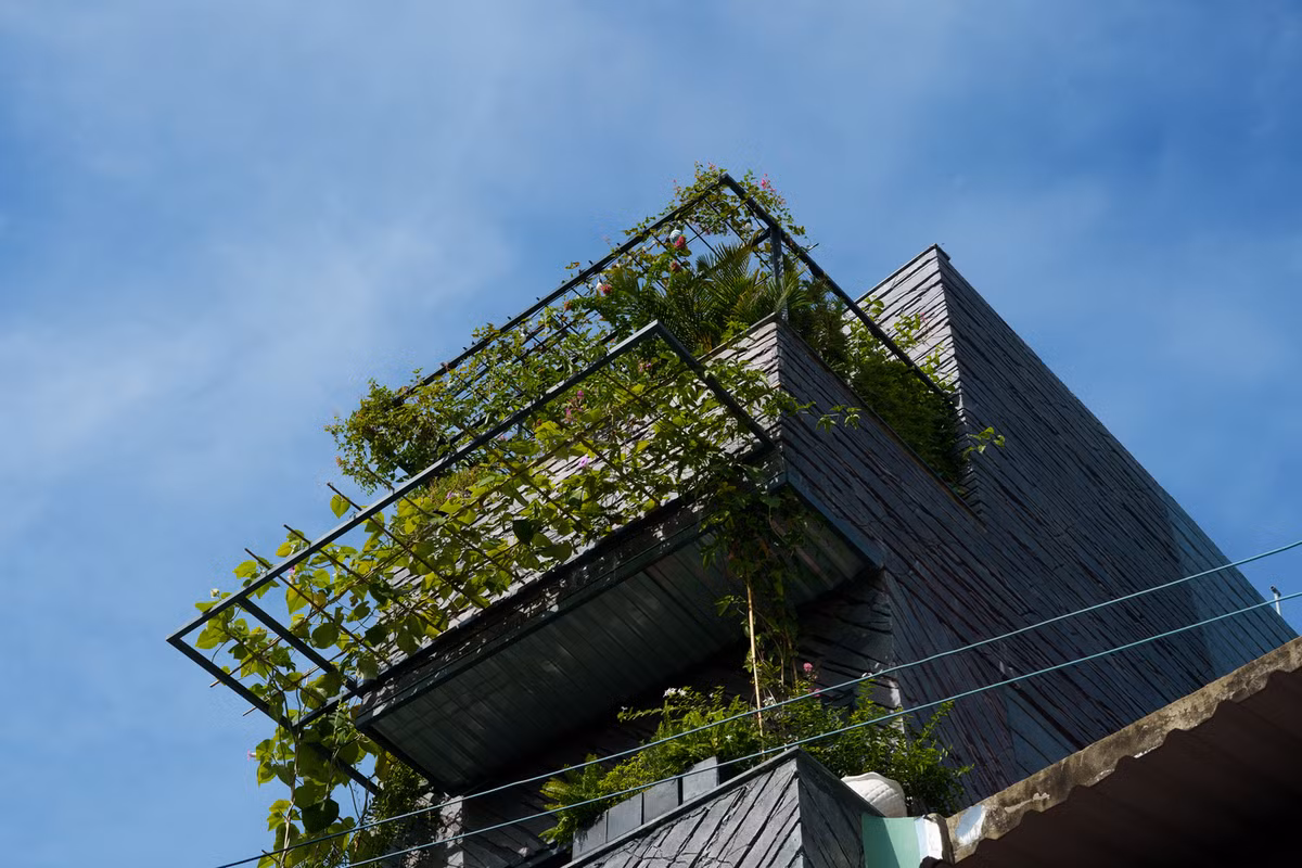 Nổi bật nhất là dàn treo nối tiếp nhau tạo thành bệ đỡ giúp rễ cây từ tầng trệt có thể bám vào và phát triển thay cho việc trang trí các chậu cây nhỏ thường thấy.