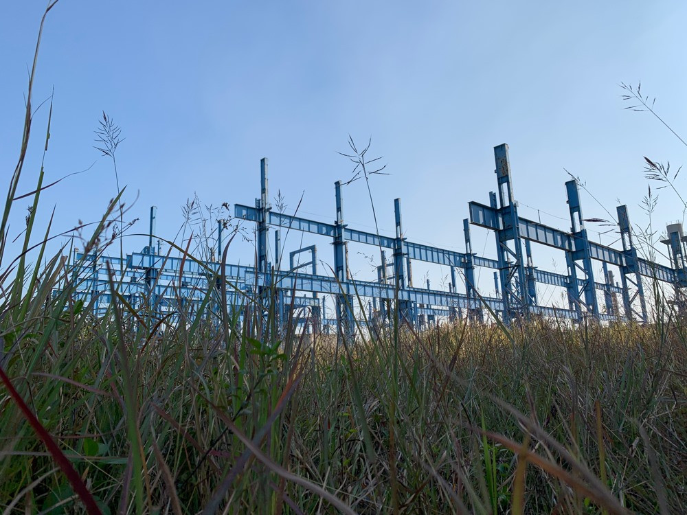 Lau sậy và cỏ dại mọc um tùm tại dự án mở rộng nhà máy Gang thép Thái Nguyên giai đoạn 2. Ảnh: Lao động