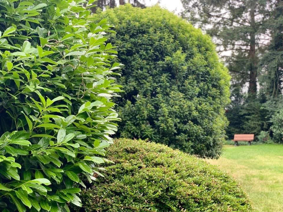 Mỗi năm gia đình ca sĩ Mỹ Lệ sang Đức hai lần vào mùa hè và Giáng sinh để nghỉ ngơi, tái tạo năng lượng. Ảnh: Ngoisao