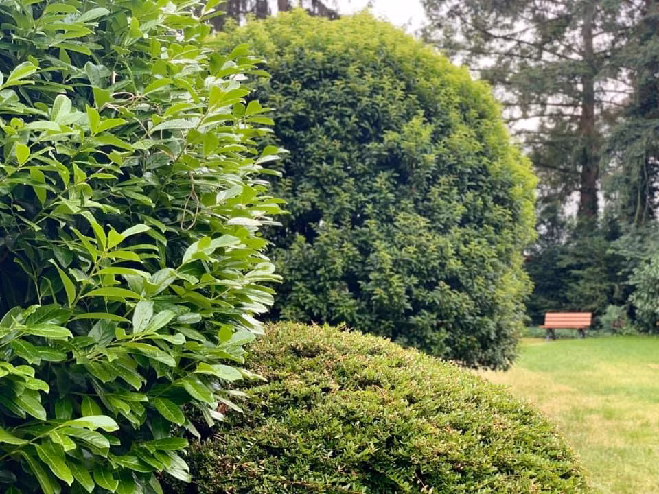 Mỗi năm gia đình ca sĩ Mỹ Lệ sang Đức hai lần vào mùa hè và Giáng sinh để nghỉ ngơi, tái tạo năng lượng. Ảnh: Ngoisao