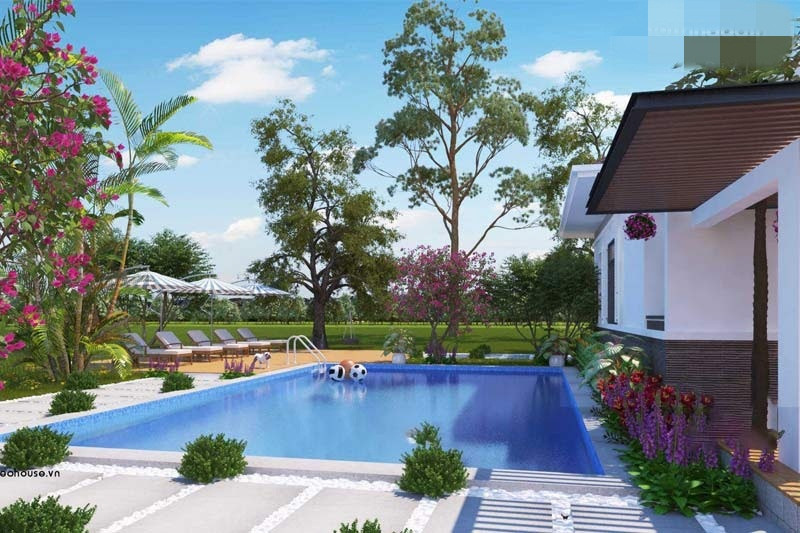 Căn nhà có bể bơi với thiết kế tiểu cảnh đẹp mắt bao quanh. Ảnh: Nhadatmoi