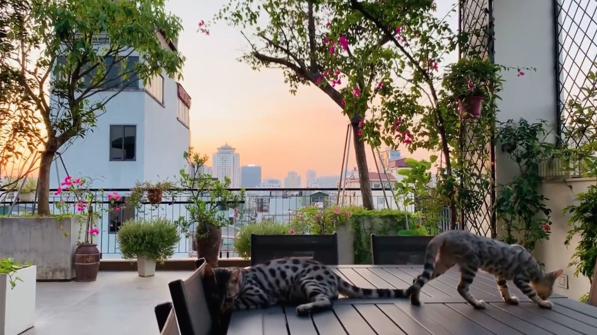 Nam ca sĩ dành nhiều không gian để làm sân vườn, tạo tiểu cảnh.