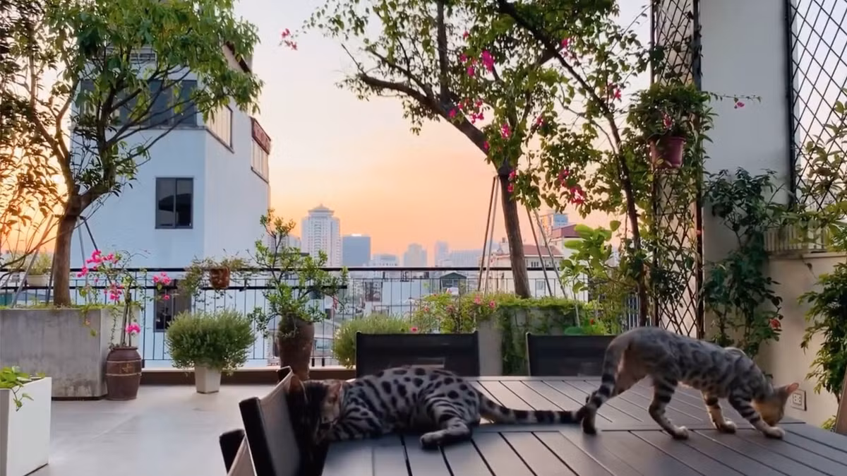 Nam ca sĩ dành nhiều không gian để làm sân vườn, tạo tiểu cảnh.