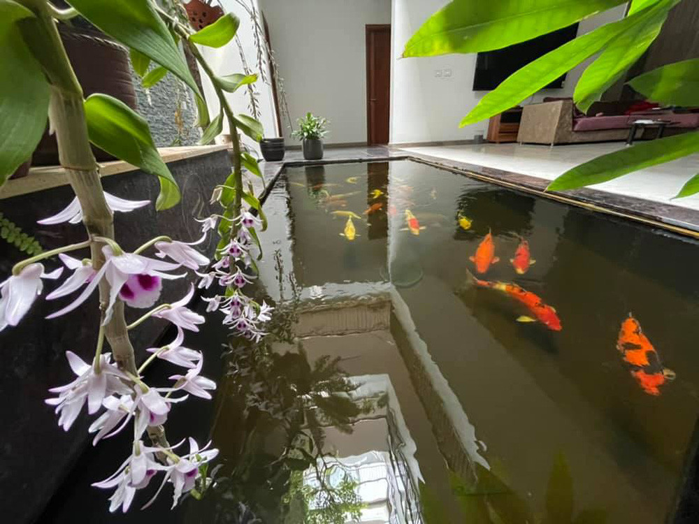 Ngay trong khuôn viên nhà, Trọng Tấn còn thiết kế một chiếc hồ khá rộng để nuôi cá koi.