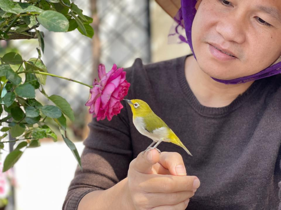 Ca sĩ Trọng Tân hóa "bác làm vườn" và chim sâu.