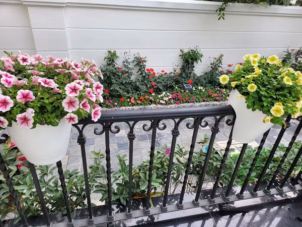 Chiều theo ý vợ, nam ca sĩ còn trang hoàng cho không gian sống nhiều hoa tươi.