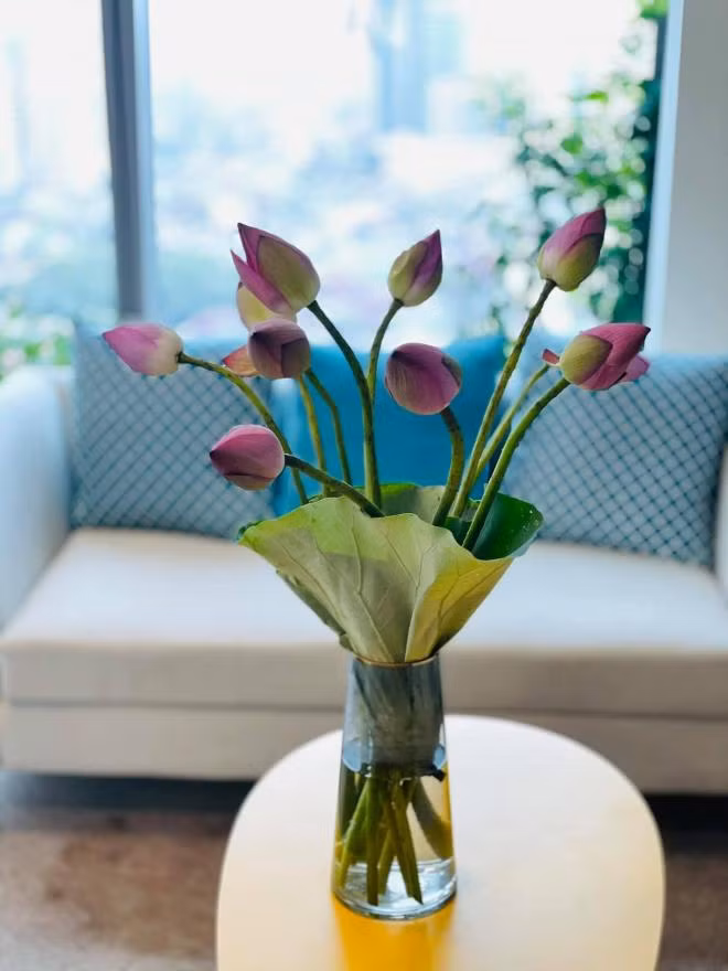 Trong khi đó, phòng khách lại màu xanh dương mát mẻ.