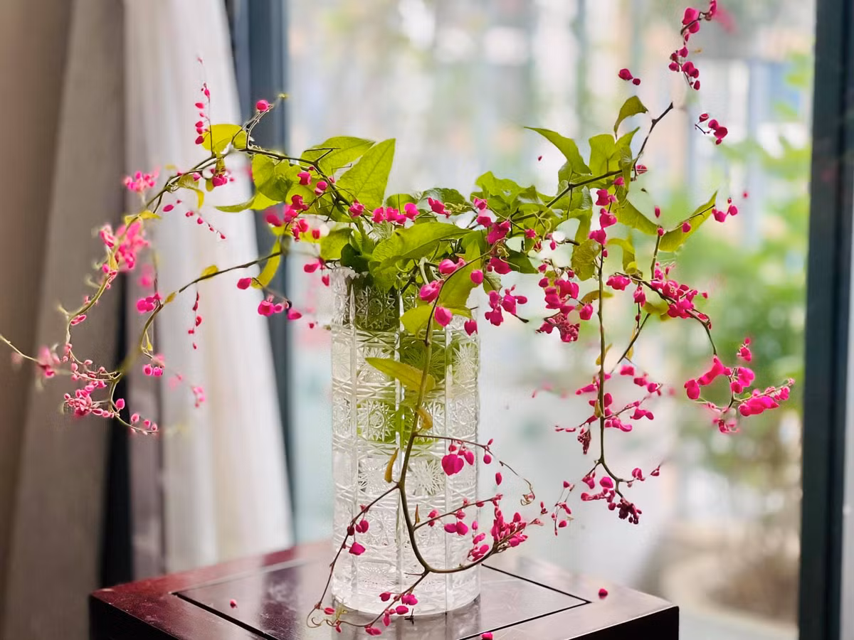 Một góc khác ngập hoa tươi trong nhà MC Diễm Quỳnh. Nguồn ảnh: FBNV