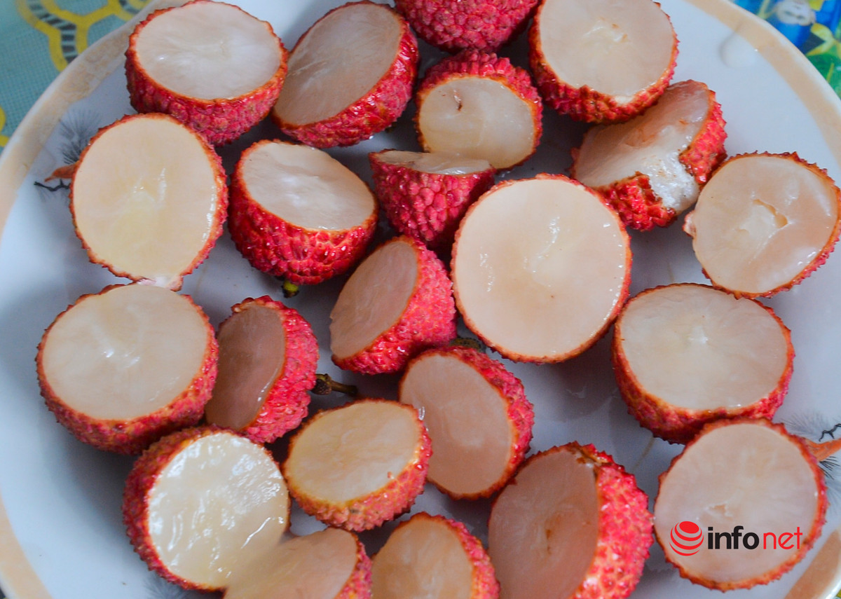 Can canh vuon vai thieu khong hat dang gay sot o Bac Giang