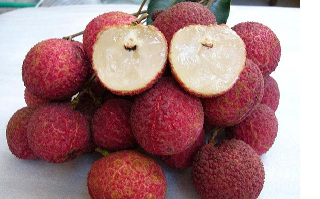 Bên trong quả không hạt, vị vẫn ngon và ngọt như những quả vải thiều khác. Ảnh: VTV