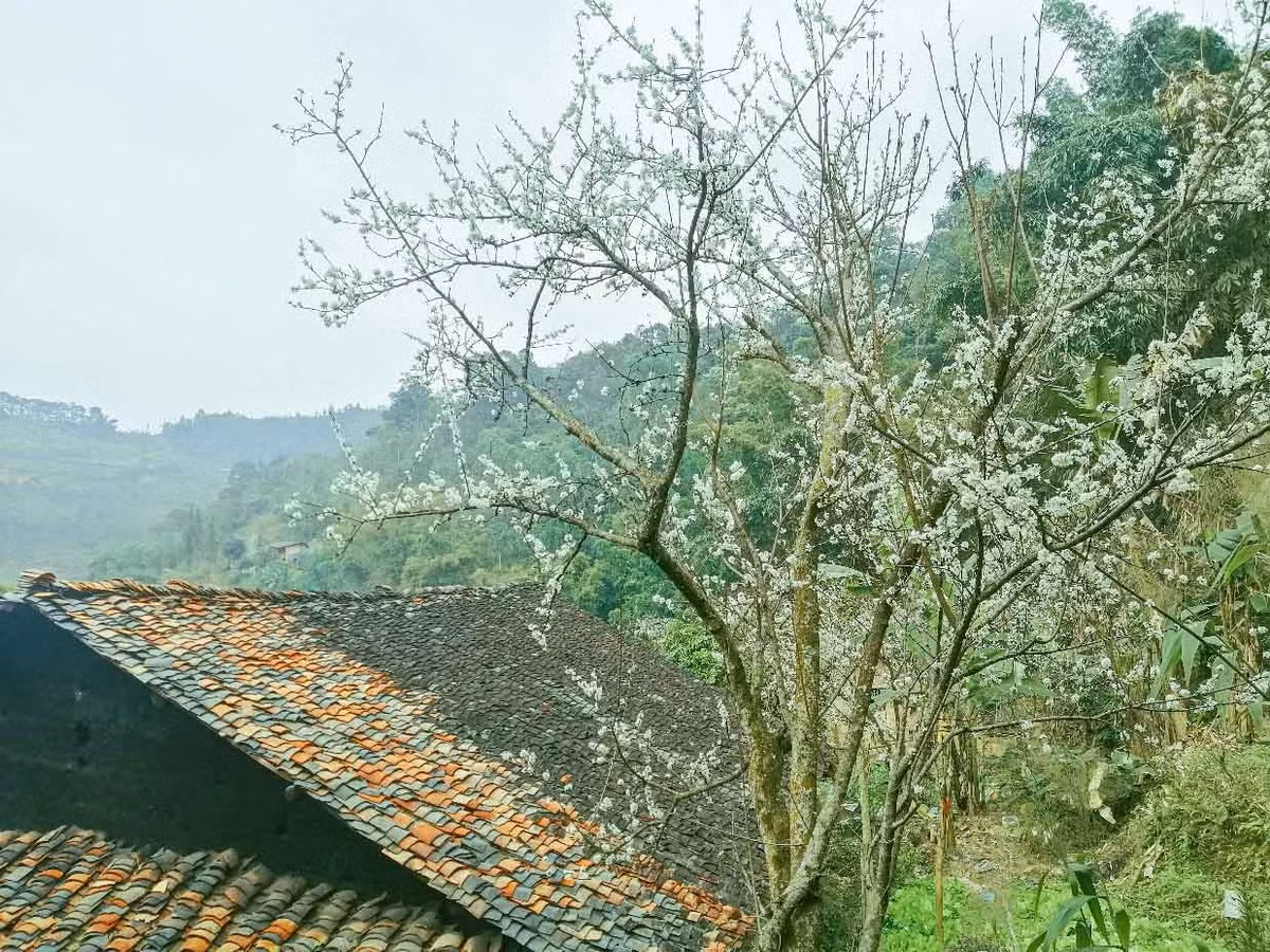 Nét cổ kính, xưa cũ tạo nên sức hấp dẫn trong ngôi làng cổ Thiên Hương. Ảnh: Van Hni