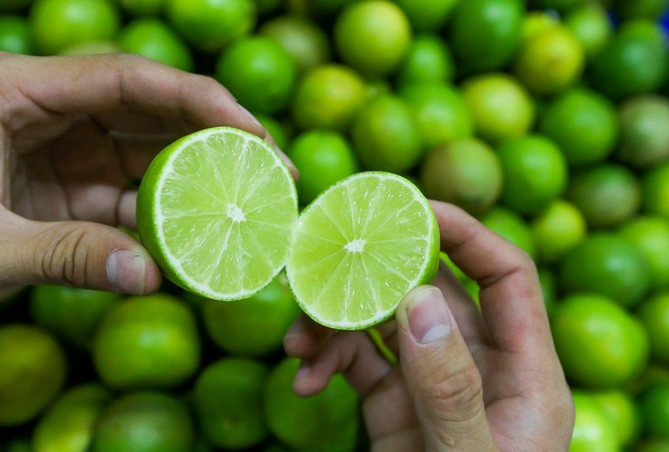 Dù được lai tạo nhưng chanh không hạt vẫn rất mọng nước và thơm một mùi hương rất riêng. Ảnh: Nông nghiệp