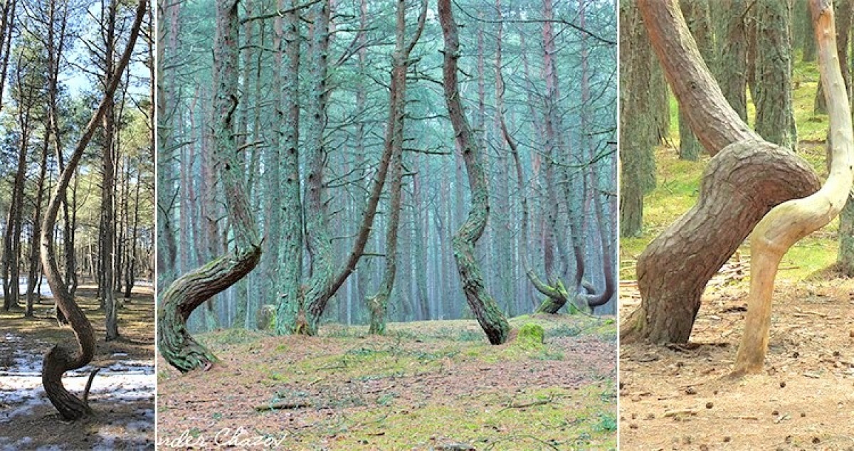 10 bi an thach thuc cac nha khoa hoc