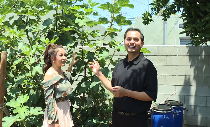 Ngôi nhà có không gian rộng rãi, thoáng mát với nhiều loại cây ăn trái. Ảnh: Vietnamnet