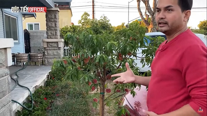 Mỗi khi rảnh rỗi, Đức Tiến lại cùng vợ chăm chút cho khu vườn. Ảnh chụp màn hình