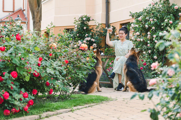 Bên ngoài sân vườn có rất nhiều hoa lá, cây cối.