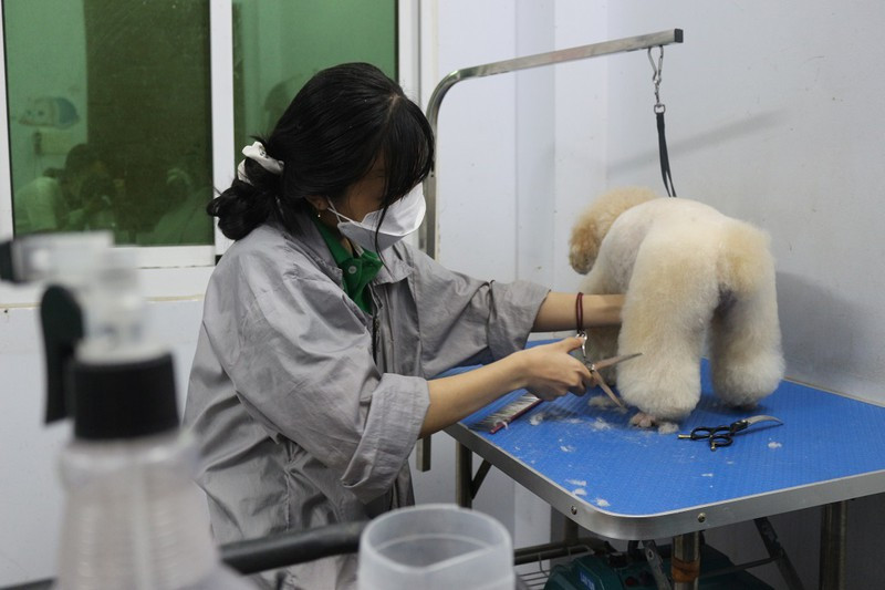 So tien “khung” nha giau Viet chi cho thu cung ngay Tet-Hinh-3