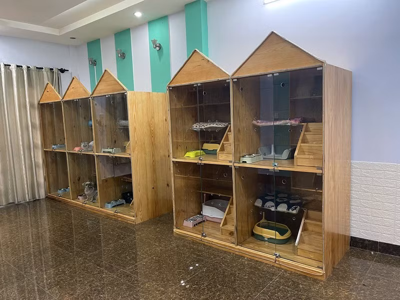 So tien “khung” nha giau Viet chi cho thu cung ngay Tet-Hinh-2