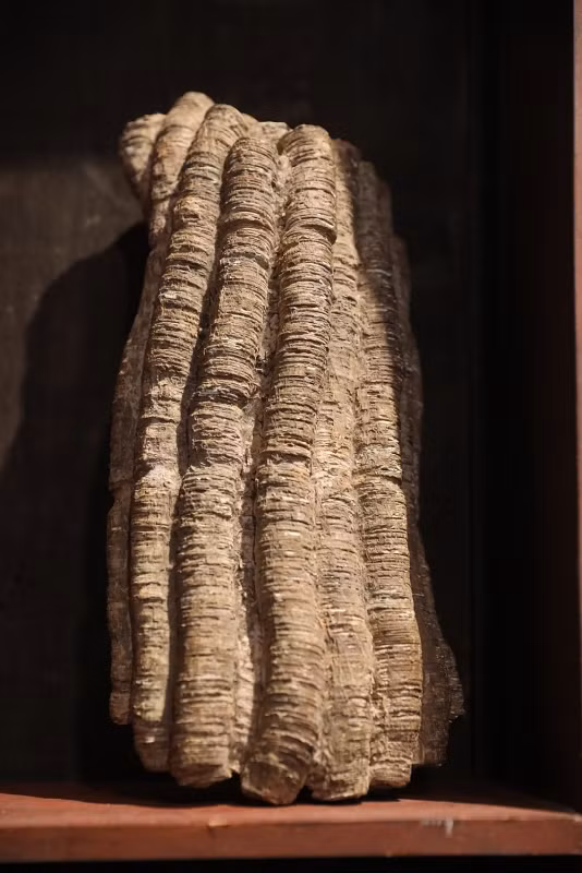 Những xâu tiền lớn khoảng thời vua Minh Mạng (1820 - 1841). Ảnh: Baoquocte