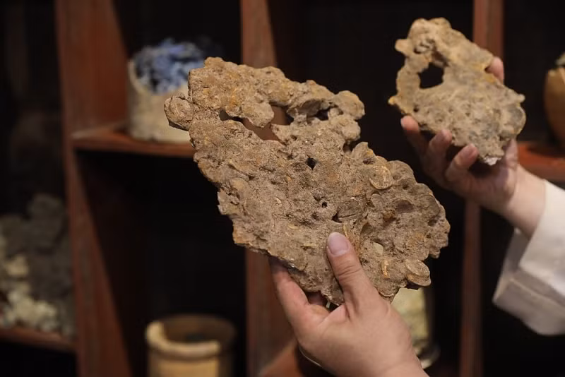 Những đồng tiền từ khoảng thế kỷ 17 tạo thành hình thù độc đáo. Ảnh: Baoquocte