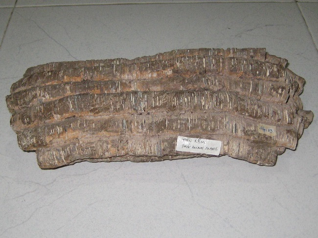 Trong số tiền cổ anh Hiệp sưu tầm, đáng giá nhất phải kể đến gần 20 loại tiền xu nguyên khối có niên đại từ thế kỷ 1 đến thế kỷ 19. Ảnh: Dân Việt