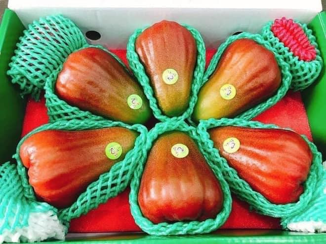 Đáng chú ý, dù nằm trong top những loại quả đắt đỏ, nhưng roi Đài Loan lại đắt như tôm tươi, thậm chí còn luôn trong tình trạng "cháy hàng". Ảnh: Facebook