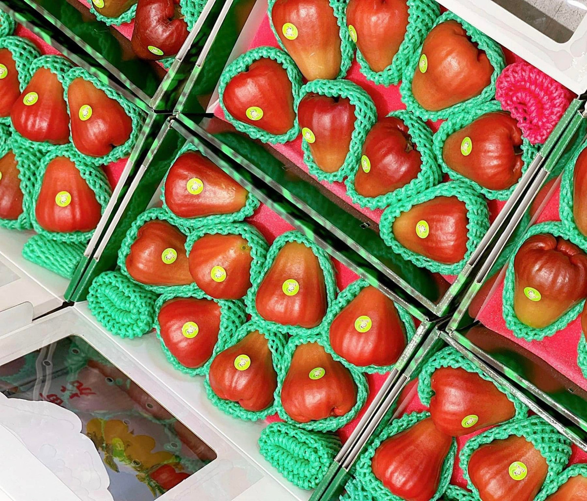 Roi ngọc bích Đài Loan thích hợp ăn giải nhiệt vào mùa hè nắng nóng nên được những gia đình có điều kiện chuộng mua. Ảnh: Facebook