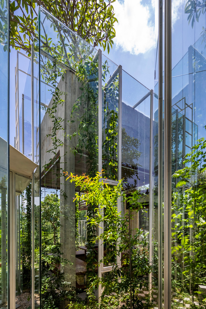 Cây dây leo là loại cây đặc biệt trong số các loại cây nội thất. Chúng dần dần leo lên và đan vào nhau xung quanh từng dãy nhà, làm thành bức tường xanh vừa tạo sự riêng tư vừa giúp cân bằng không khí.