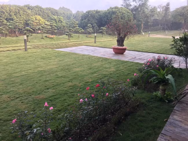 Xung quanh chủ yếu là không gian vườn, khuôn viên phục vụ cho nhu cầu nghỉ dưỡng. Ảnh: Vietnamnet