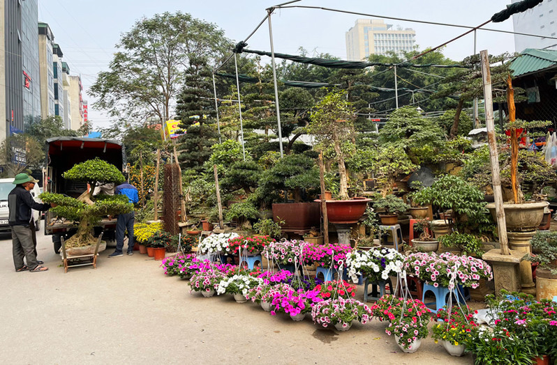 Ngay từ đầu tháng 12 Âm lịch, chợ hoa Vạn Phúc (Hà Đông, Hà Nội) bắt đầu nhộn nhịp người mua - bán. Đặc biệt, các loại hoa hội tụ về đây rất đa dạng. Ảnh: Dautuvietnam