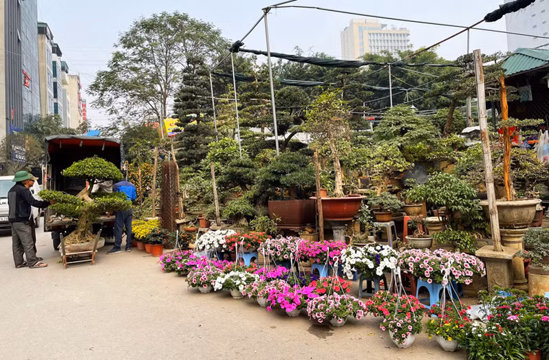 Ngay từ đầu tháng 12 Âm lịch, chợ hoa Vạn Phúc (Hà Đông, Hà Nội) bắt đầu nhộn nhịp người mua - bán. Đặc biệt, các loại hoa hội tụ về đây rất đa dạng. Ảnh: Dautuvietnam