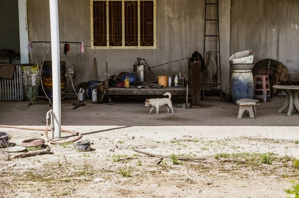 Bên trong ngôi nhà chứa nhiều dụng cụ gắn liền với công việc làm nông. Ảnh: Kinglive