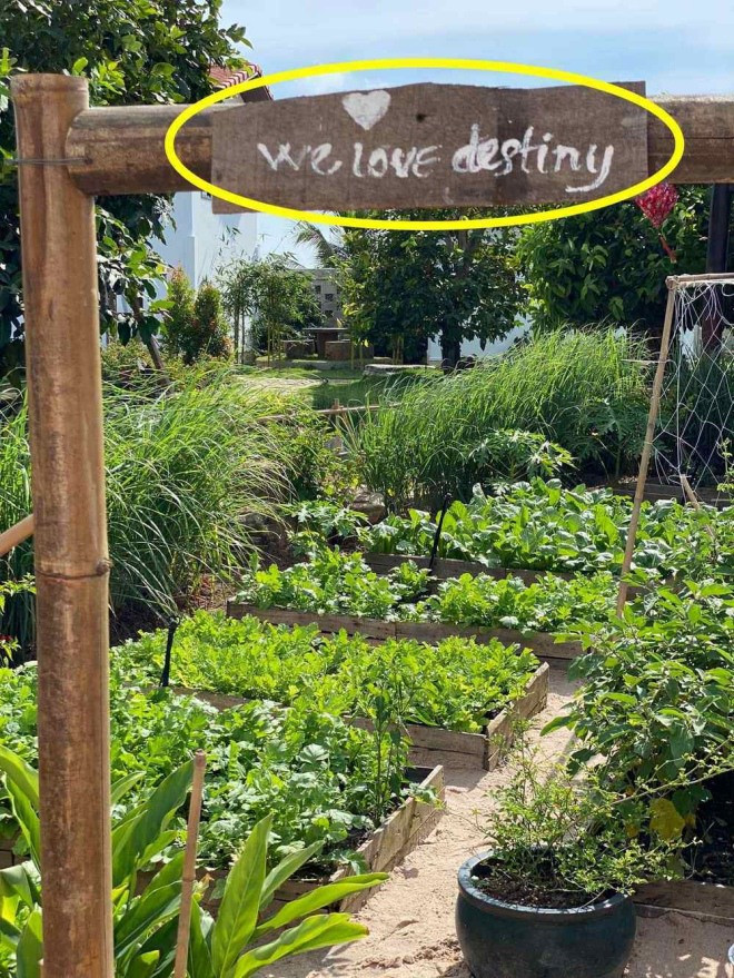 Khu vườn đặt tên ái nữ trong biệt thự của Trường Giang - Nhã Phương.