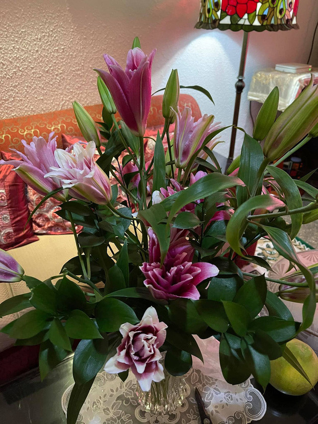 Nhờ thế, căn nhà của ca sĩ Quang Linh luôn có cảm giác ấm cúng chứ không lạnh lẽo đơn độc. Ảnh: Công lý &amp; xã hội